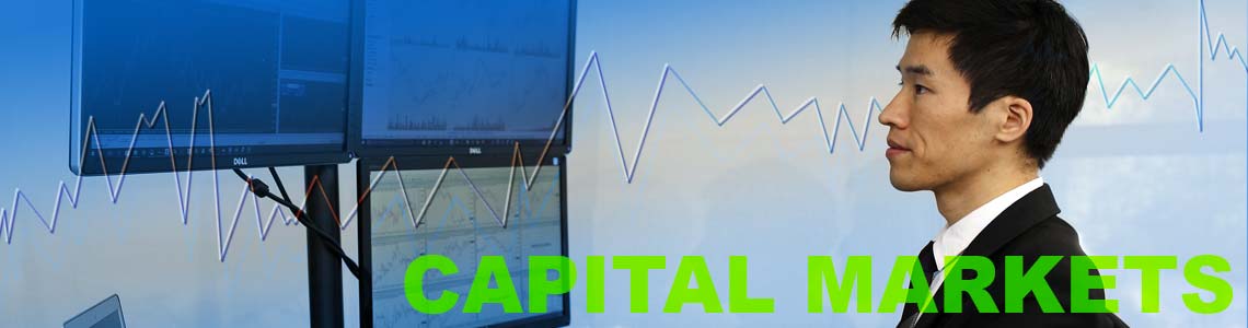 Capital Markets